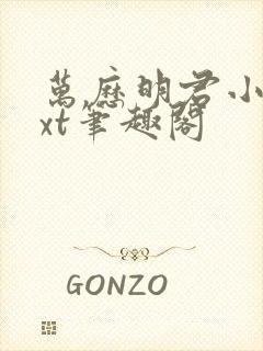 万历明君小说txt笔趣阁