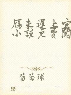 雁未迟上官穿越小说免费阅读