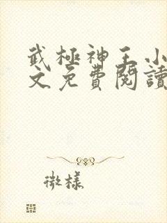 武极神王小说全文免费阅读