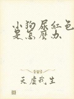 小狗尿红色的尿是怎么办