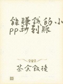 能赚钱的小说app秒到账