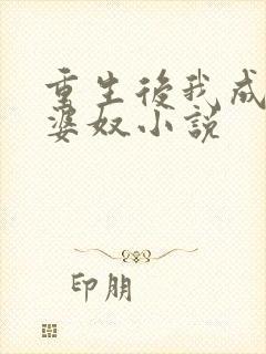 重生后我成了老婆奴小说