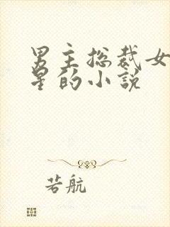 男主总裁女主明星的小说