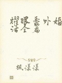 耀眼番外婚后生活全篇