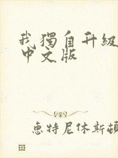 我独自升级动漫中文版