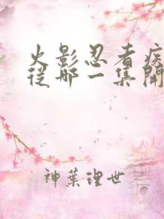 火影忍者疾风传从哪一集开始