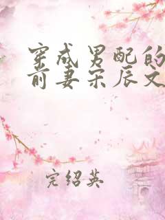 穿成男配的炮灰前妻宋辰文姜o