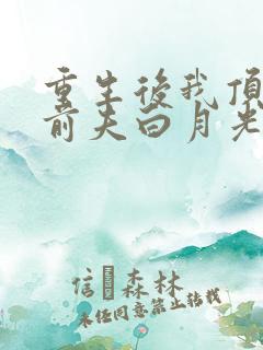 重生后我顶替了前夫白月光无弹窗