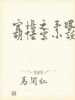 官场之手眼通天胡佳云小说