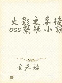 火影之幕后大boss系统小说全文免费阅读