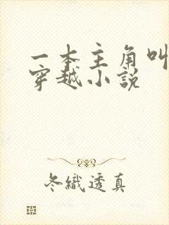 一本主角叫陆玄穿越小说