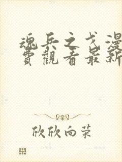 魂兵之戈漫画免费观看最新章节