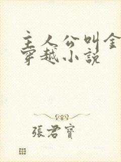 主人公叫金锋的穿越小说