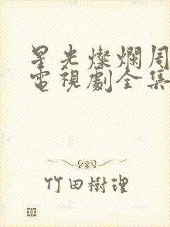 星光灿烂周三强电视剧全集免费观看