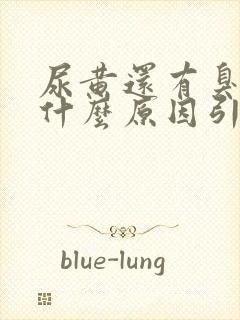 尿黄还有臭味是什么原因引起的