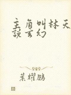 主角叫林天的小说玄幻