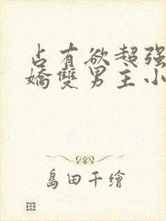 占有欲超强的病娇双男主小说推荐