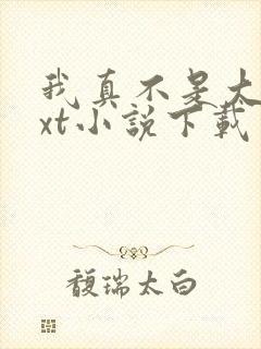我真不是大佬txt小说下载