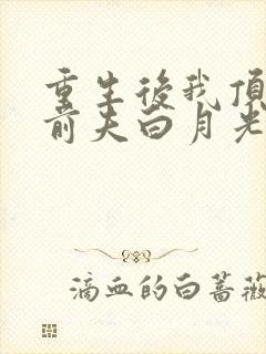 重生后我顶替了前夫白月光有声版