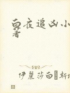 白夜追凶小说原著