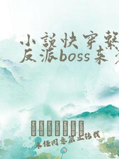 小说快穿系统之反派boss来袭免费阅读