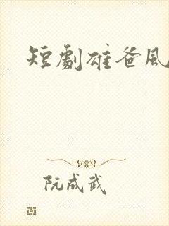 短剧雄爸风云