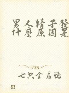 男人精子发黄是什么原因是什么问题