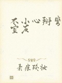 不小心掰弯直男室友