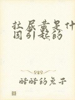 拉尿黄是什么原因引起的