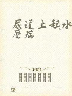 尿道上起水泡什么病