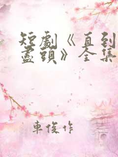 短剧《直到爱意尽头》全集免费