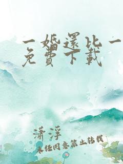 一婚还比一婚高免费下载