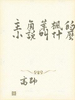 主角叶枫的都市小说叫什么名字