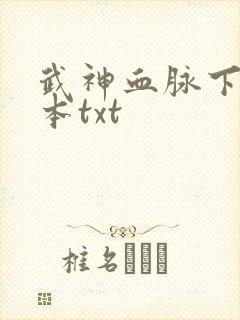 武神血脉下载全本txt