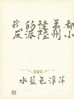 我的徒弟都是大反派陆州小说好看么