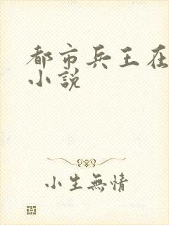 都市兵王在线看小说