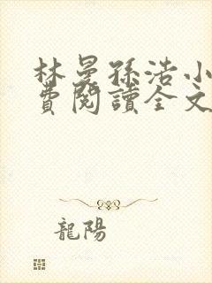 林曼孙浩小说免费阅读全文最新章节