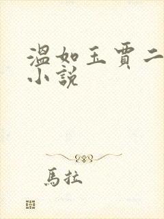 温如玉贾二虎的小说