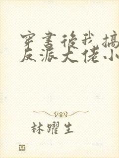 穿书后我搞到了反派大佬小说