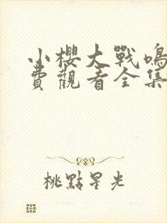 小樱大战鸣人免费观看全集动漫在线观看