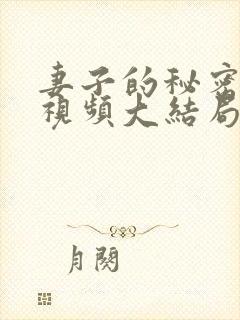 妻子的秘密短剧视频大结局