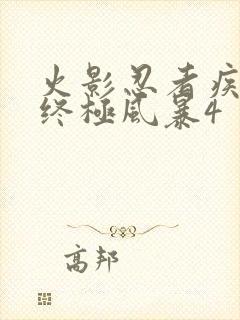 火影忍者疾风传终极风暴4