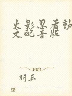 火影忍者动漫中文配音版