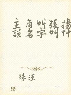 主角叫张扬的小说名字叫什么