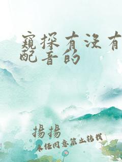 窥探有没有国语配音的