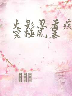 火影忍者疾风传究极风暴