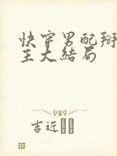 快穿男配掰弯男主大结局