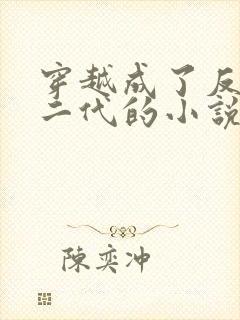 穿越成了反派富二代的小说叶枫