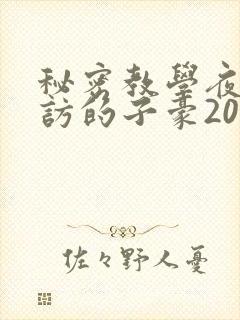 秘密教学夜晚到访的子豪20话