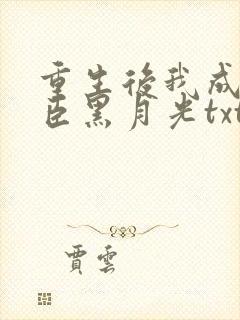 重生后我成了奸臣黑月光txt